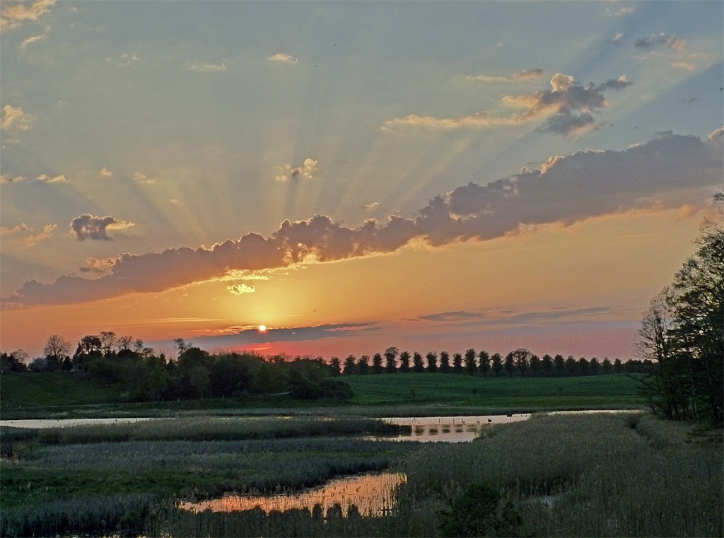 Seine Schöpfung