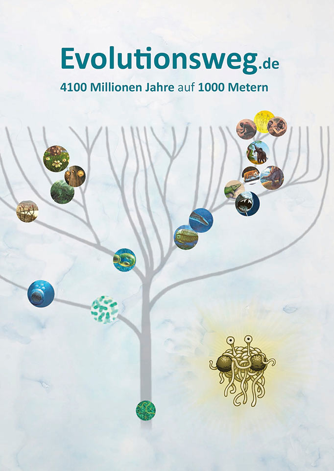 Evolutionsweg