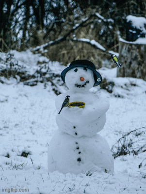 Das Wort zum Freitag – Was kommt 2022?