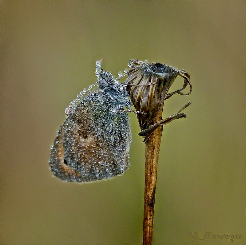 Das Wort zum Freitag – Die NABU-Kirche Neu Temmen