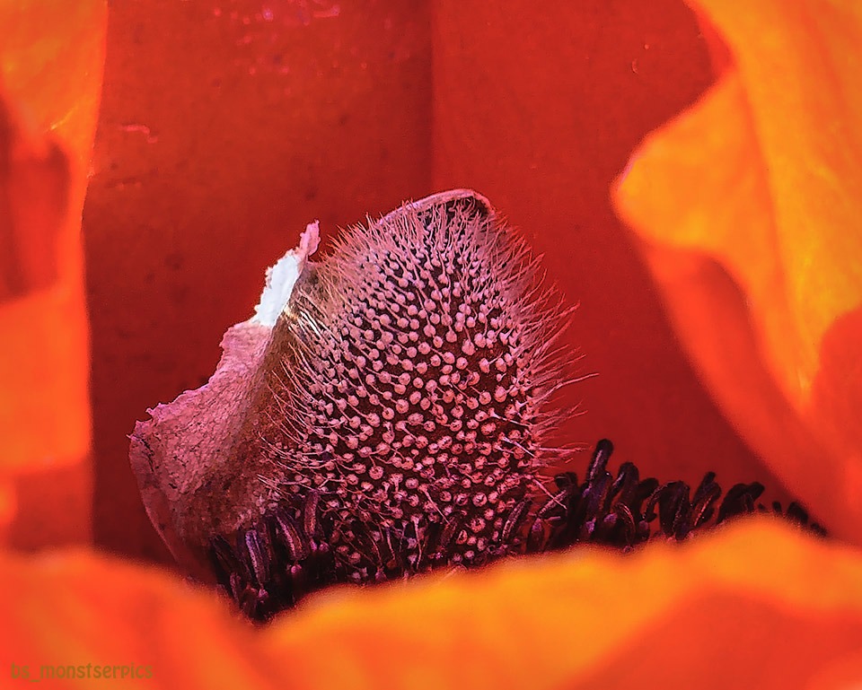 Das Wort zum Freitag – Gottes wunderbare Schöpfung