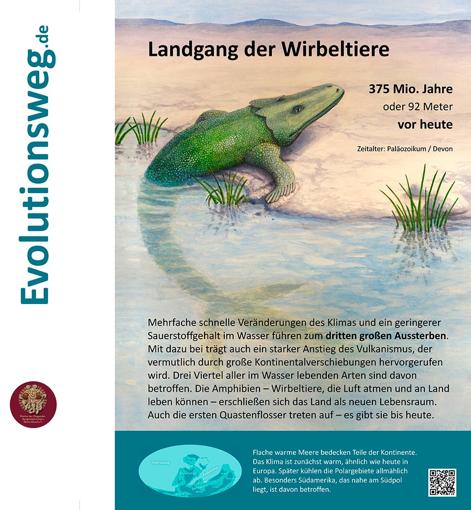 Das Wort zum Freitag – Evolution a la Osnabrück