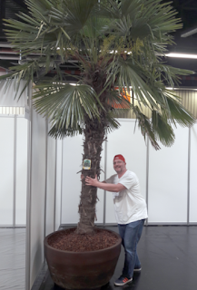 Aber es kam noch besser 