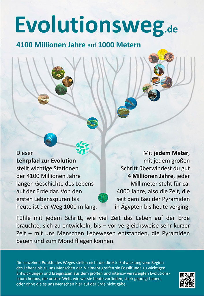 Das Wort zum Freitag – Evolutionswege braucht das Land!